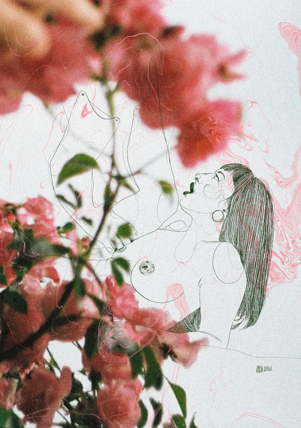 In Bloom